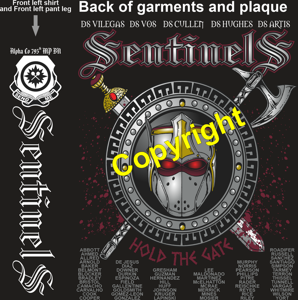ALPHA 795 SENTINELS GRADUATING DAY 6-3-2021 DTG