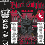 BRAVO 35TH BLACK KNIGHTS GRADUATING DAY 6-23-2017 digital