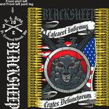 ECHO 3-10 BLACKSHEEP digital*